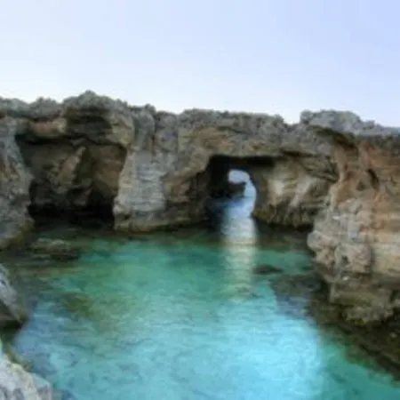 Casa Rosa
